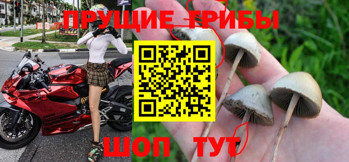 Псилоцибиновые грибы Psilocybe  Вход с VPN  наркошоп  Миасс 