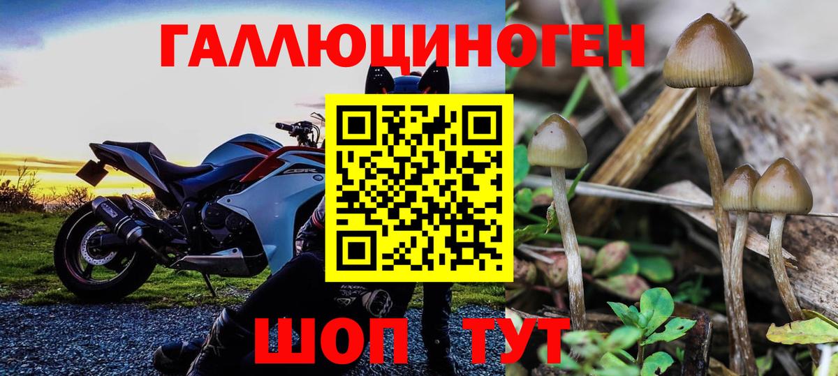 Псилоцибиновые грибы MAGIC MUSHROOMS Миасс